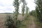 Chemin des Banques